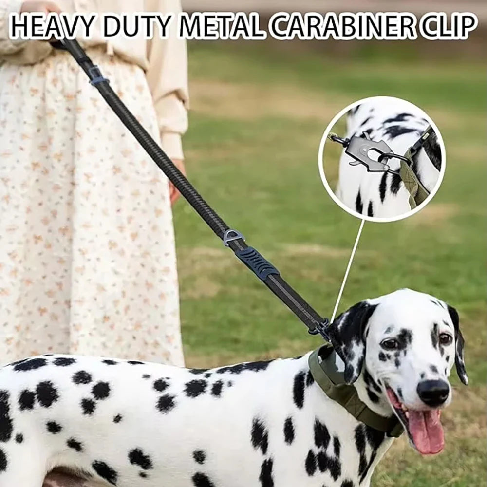 Leads