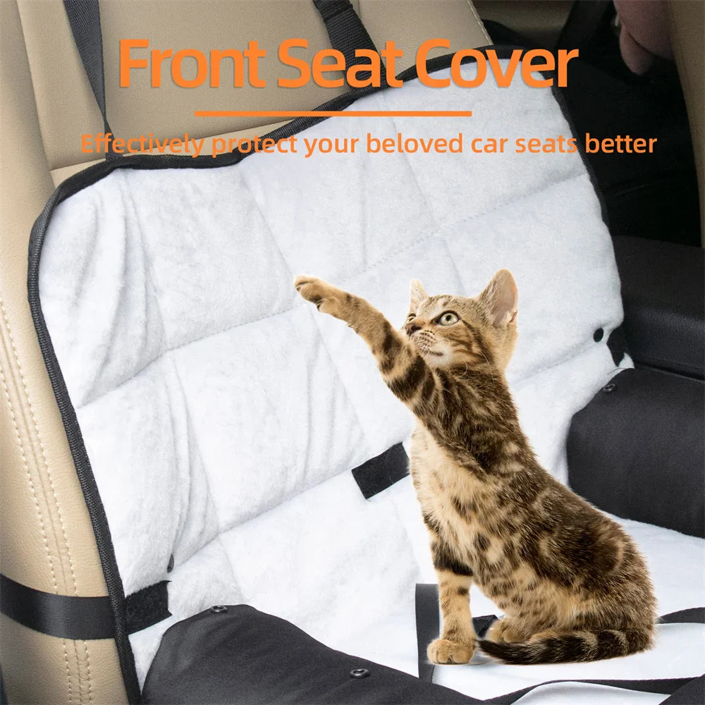Dogs ▸ Travel & Car